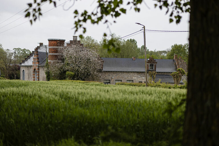 paysage-mariage-lidivne-clement-12